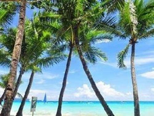 Albergue Boracay Coco Huts