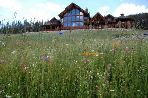 Meadowview Mountain Lodge