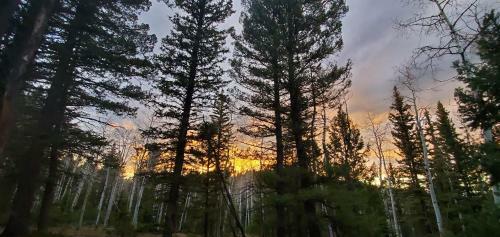 Enjoy Seclusion And Serenity At The Retreat