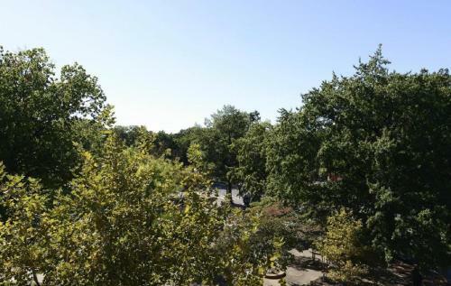 Dc Townhome - Walk To Convention Center And Museums!