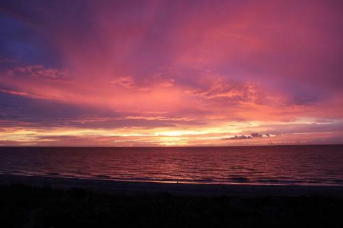 Apartamento Oceanfront Belleair Beach Condo With Gulf Views!