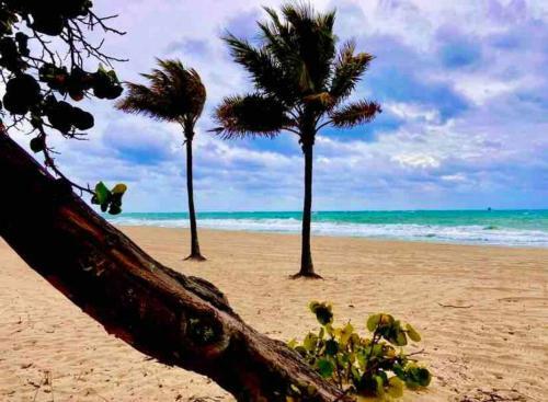 Apartamento Studio 306 Queen One Block From Ft Laud Beach