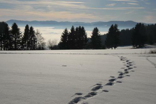 Bed & Breakfast Fr�hst�ckspension Wiesenhaus