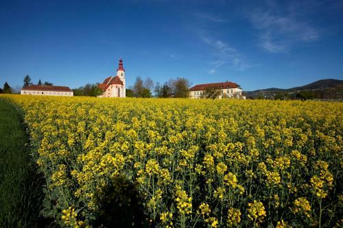 Posada Gasthof Hotel Pack Zur Lebing Au