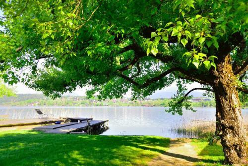 Hostal Pension Und Ferienwohnungen Goldene Rose