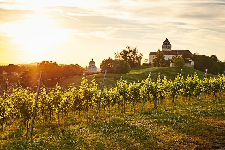 Hotel Loisium Wine & Spa Resort S�dsteiermark