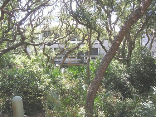 Apartamento 134v Home
