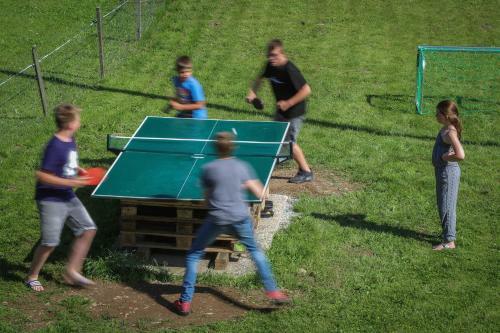 Hotel Alpengasthof L�mmerhof