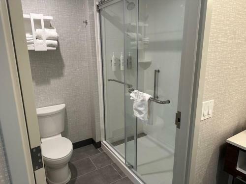 Hotel Hampton Inn & Suites Ruskin I-75, Fl