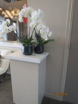 Ligure Hotel