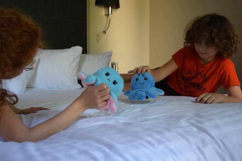 Hotel Amiraute