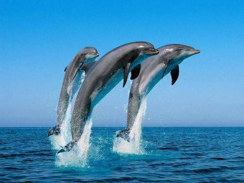 Apartamento Affordable Beach Condos -two Bed Condo With Full Kitchen Condo