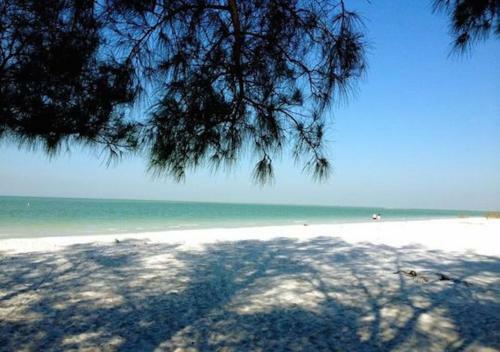 Apartamento Affordable Beach Condos -two Bed Condo With Full Kitchen Condo