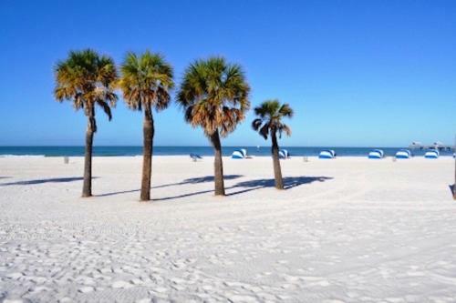 Apartamento Affordable Beach Condos -two Bed Condo With Full Kitchen Condo