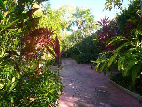 Apartamento Affordable Beach Condos - One Bed Budget With Full Kitchen Condo