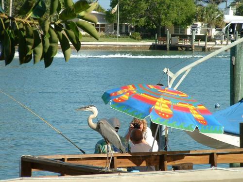 Apartamento Affordable Beach Condos - One Bed Budget With Full Kitchen Condo