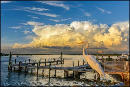 Apartamento Affordable Beach Condos - One Bed Budget With Full Kitchen Condo