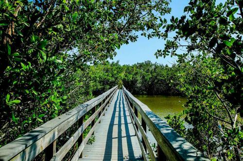 Resort Condo Surrounded By Tropical Vegetation Views - Blind Pass C204