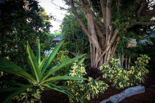 321 Canal Rd - Siesta Key Village Condo