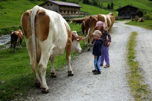 Apartamento Farm Resort Geislerhof