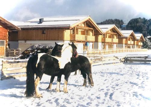 Hotel Sieglhub