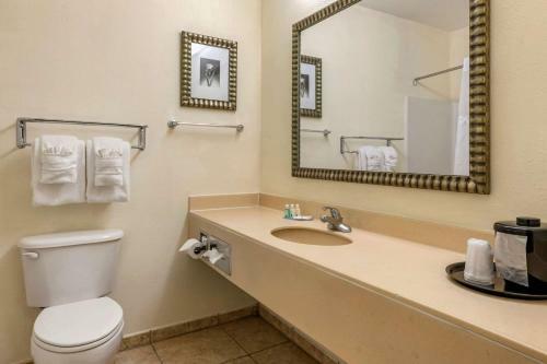 Hotel Quality Inn Zephyrhills-dade City