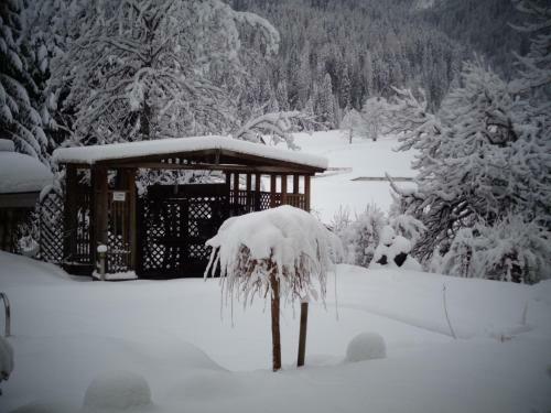 Hostal Haus Am Hammerrain
