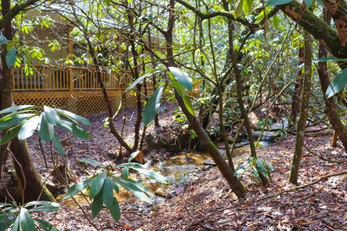 Secluded Lavinder Laurel Leaf Cottage Near Creek