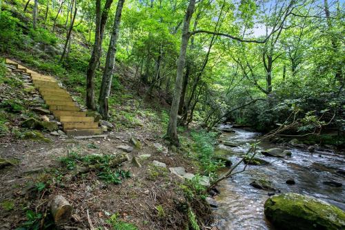 Elegant Forest Escape With Hot Tub, Views And More