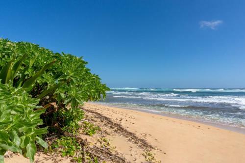 Apartamento Hanalei Colony Resort M2 Condo