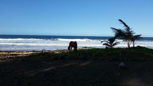 Hale Pikonia In Historic Honokaa Town Home