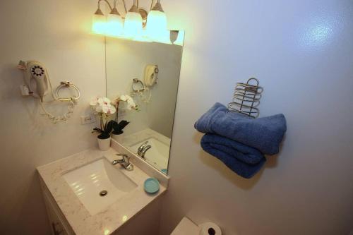 Apartamento 210 Tropics!! In Paradise! Block From Beach!!