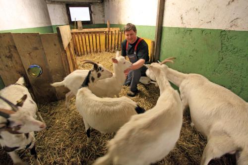 Agroturismo Biobauernhof Vorderm�hltal