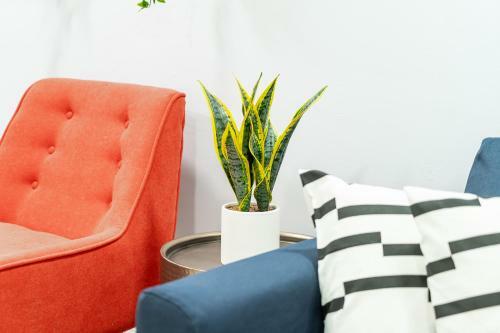 Apartamento Bright And Cozy 2br Condo In Logan Square!