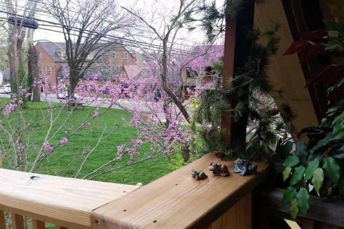 The Iris Garden Downtown Cottages And Suites