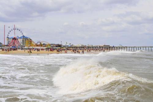 Royal Beach 102