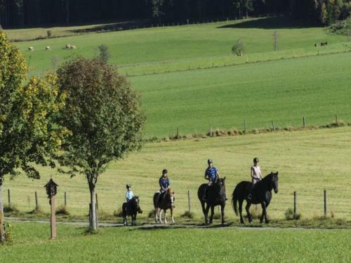 Agroturismo Bio-bauernhof Samerhof