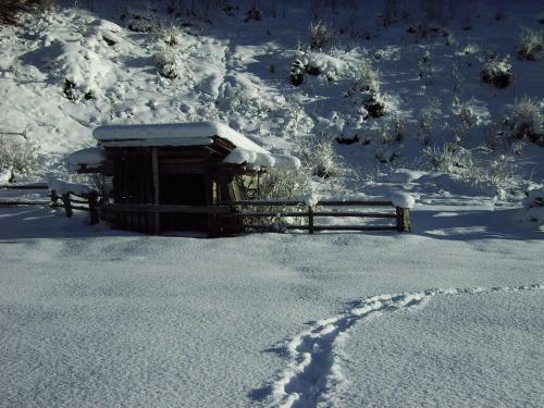 Alpenapart Walch