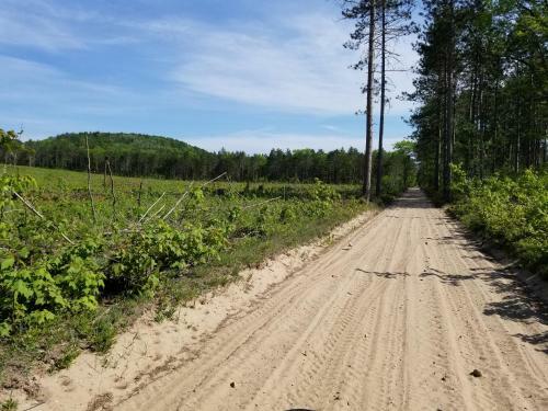 Black Mountain Recreational Area Vacation Rental