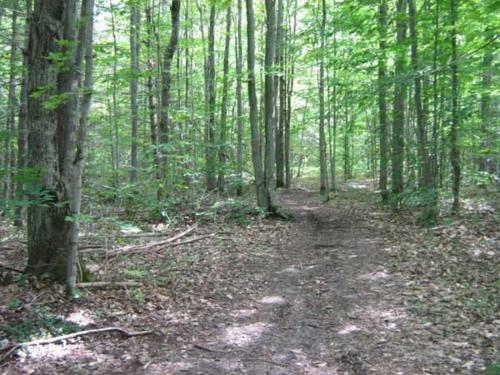 Black Mountain Recreational Area Vacation Rental