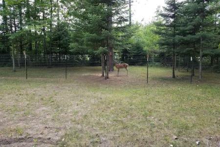 Black Mountain Recreational Area Vacation Rental