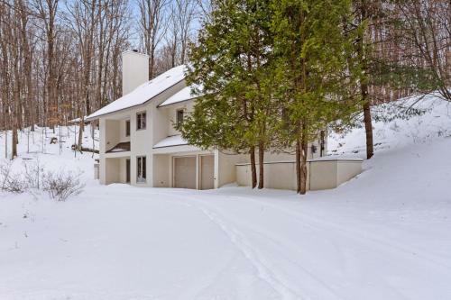 Birchwood: Treasured Hideaway
