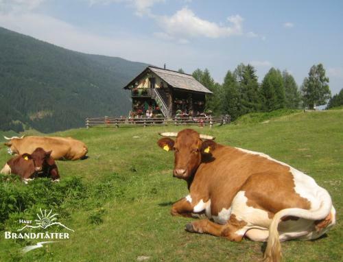 Hostal Haus Brandst�tter