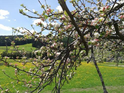 Apartamento Brandst�ttergut