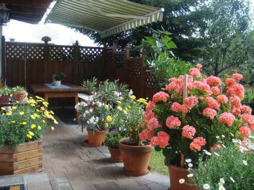 Apartamento Ferienwohnungen Holzer