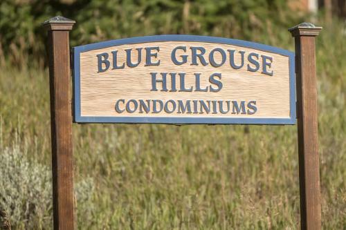 Blue Grouse #14