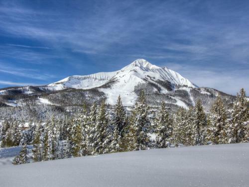White Grass Lodge By Big Sky Vacation Rentals