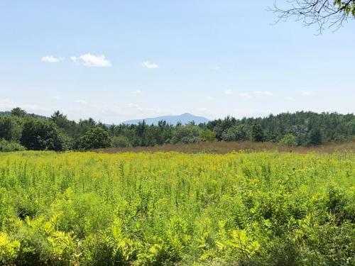 Tentrr - Ascutney View