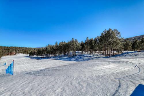 Pine Tree 209