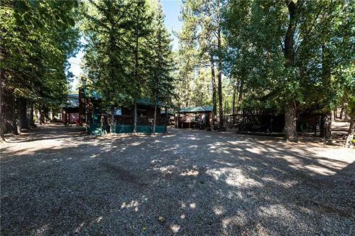 Cozy Bear 8, 1 Br, Fireplace, Midtown, Grill, Sleeps 4
